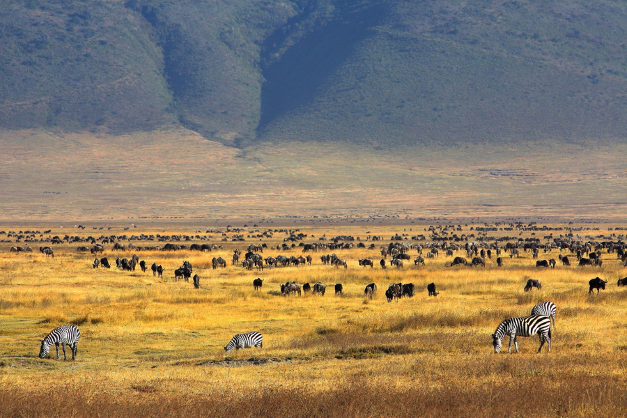 Ngorongoro Crater aerial view