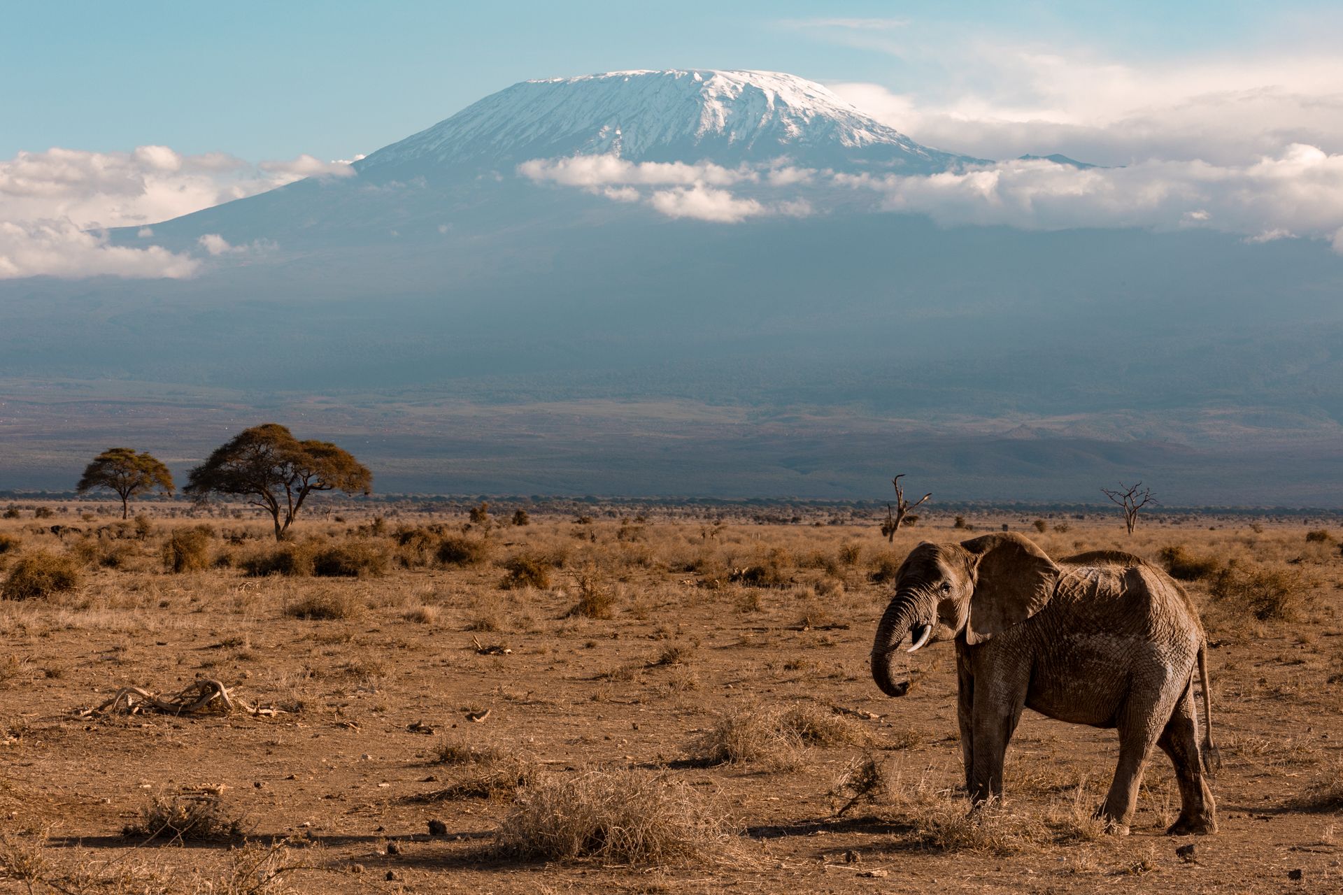 The Ultimate Kenya Safari & Coast Escape