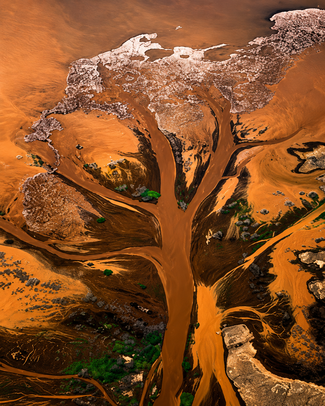 Aerial view of a river delta braiding into a lake